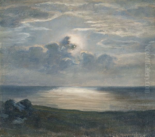Baltic Sea beach under a full moon - view 1