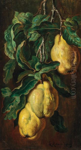 Quinces - view 1