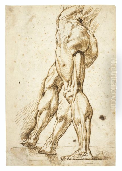 An ecorche study of the legs of a male nude, with a study of the right leg (recto) - view 1