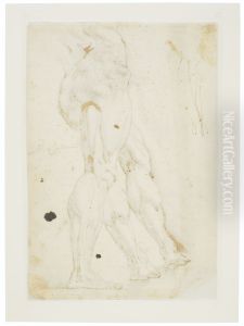Sketch of the muscle of a leg (verso) by (studio of) Rubens, Peter Paul