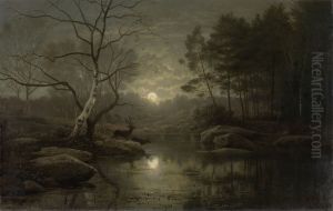 Boslandschap bij maanlicht.