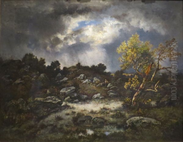 The Approaching Storm - view 1