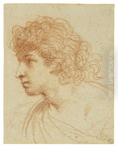 Head of boy, in profile to the left by Giovanni Francesco Barbieri