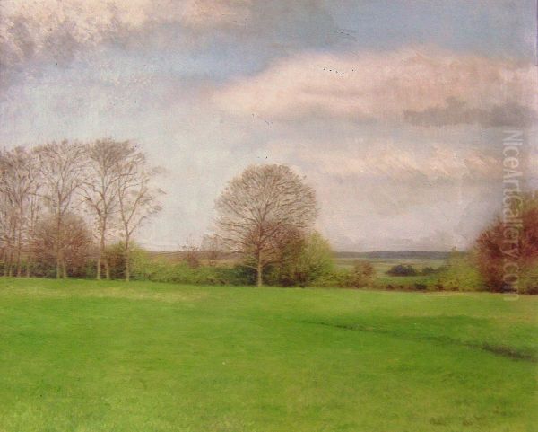 Weide und Baume bei Drangstedt - view 1