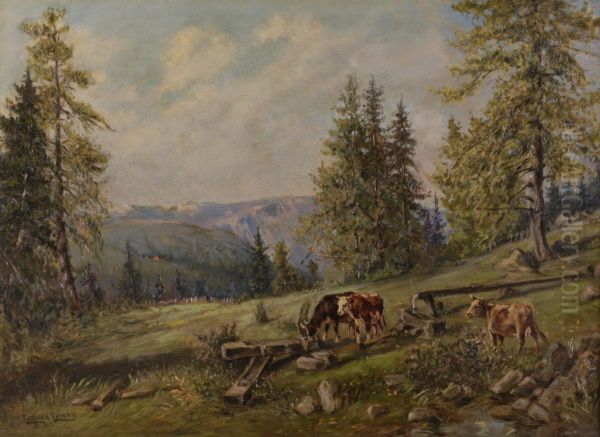 Tranke auf der Alm - view 1