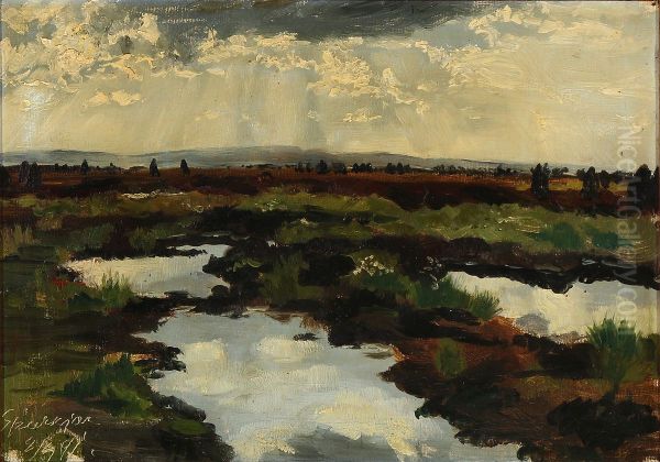 Light breaking through the clouds over a heath landscape - view 1