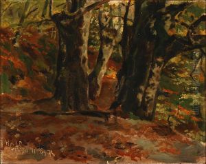 View from a forest [near Hald Lake, Jutland]