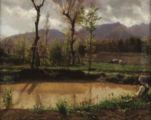 Landscape after the rain