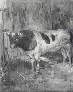 Stier im Stall Stier im Stall