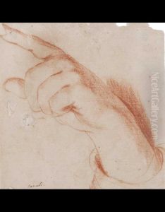 Studio Di Mano by Domenico Maria Canuti