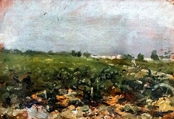 Celeyran, View of the vineyards - view 1