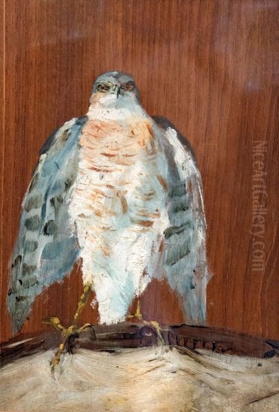 Peregrine Falcon - view 1