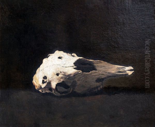 Sheep skull - view 1