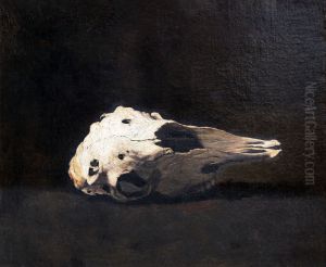 Sheep skull