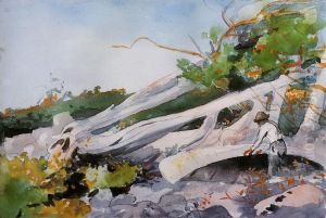 Guide Hiding a Canoe Under a Windfall