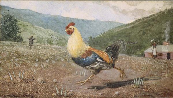 The Rooster - view 1