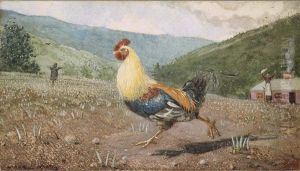 The Rooster by Winslow Homer