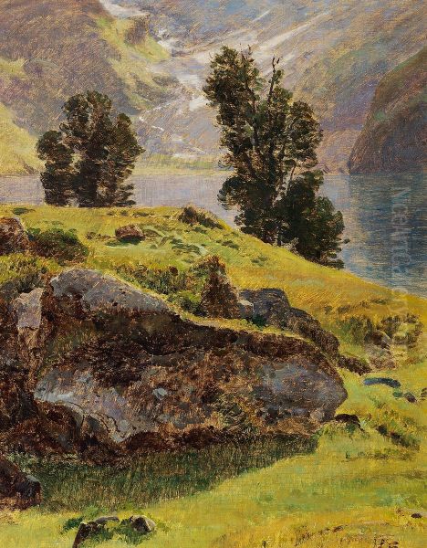 Sommerlandskab i bjergene. - view 1