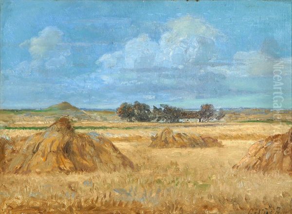Landscape with haystacks in a field. - view 1