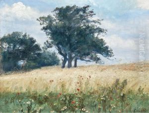 The poppy field. by Cilius Andersen