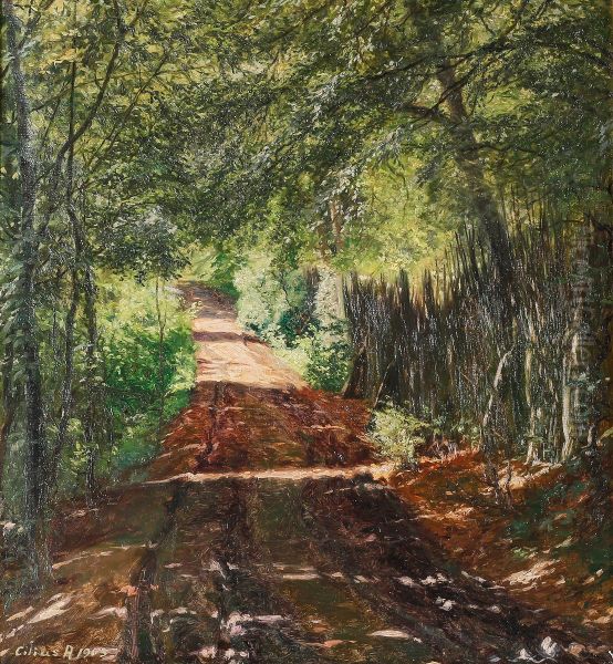 A forest road in the shadows. - view 1
