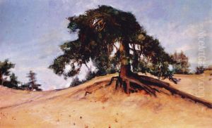 A broken pine (Lappvik) by Amelie Lundahl