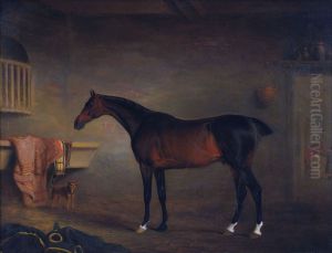 The Bay Easton in his Stable