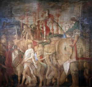 The Elephants