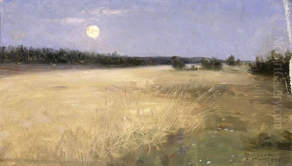 Summer Night - view 1