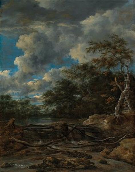 A wooded landscape with a waterfall - view 1