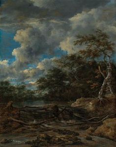 A wooded landscape with a waterfall by Jacob Van Ruisdael
