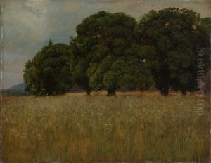 Grain field with deciduous trees Grain field with deciduous trees