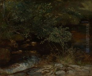 Stream bank with bushes and grass