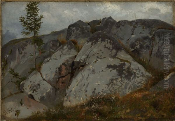 Felsblocke mit Tannchen - view 1
