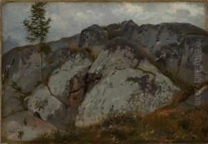 Felsblocke mit Tannchen by Hans Thoma