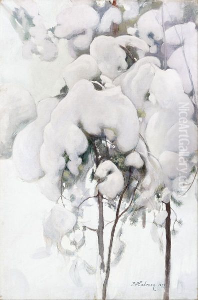 Snow-Covered Pine Saplings - view 1