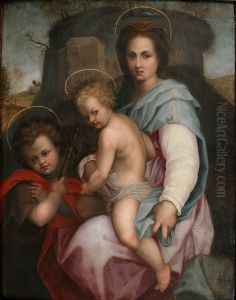 Madonna and Child with St. John the Baptist. by Andrea Del Sarto