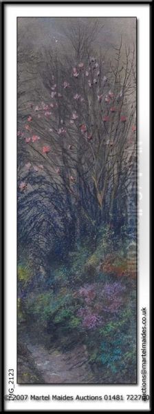 A Flowering Shrub - view 1