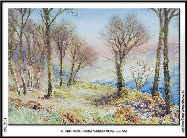 Valley And Cliffs - view 1