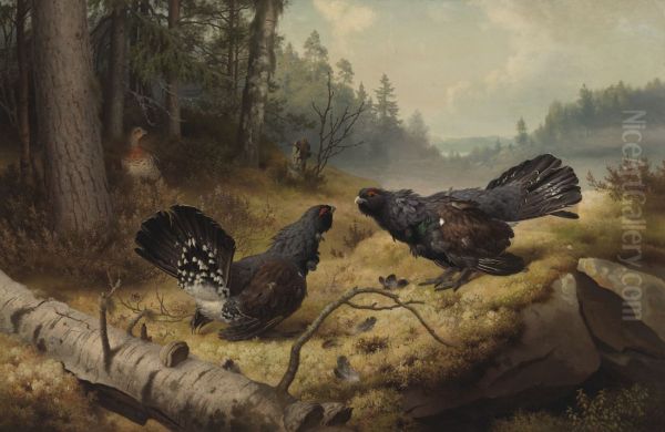 The FightingCapercaillies - view 1