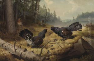 The FightingCapercaillies by Ferdinand von Wright