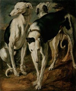Three greyhounds