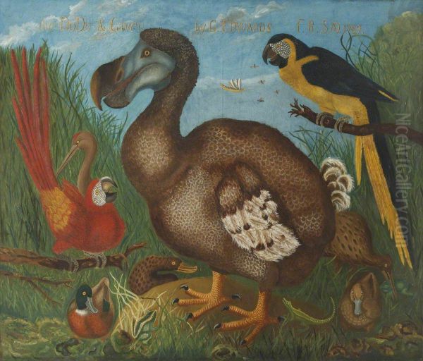Dodo - view 1