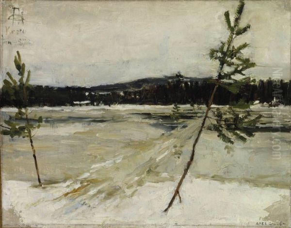 Path on the Ice - view 1