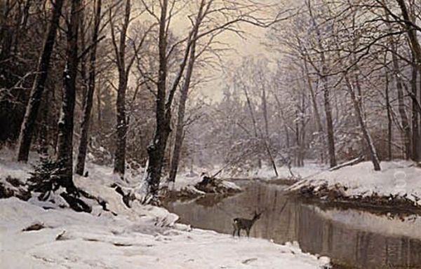 A winter landscape from southern Germany with deer at a stream in the forest. - view 1