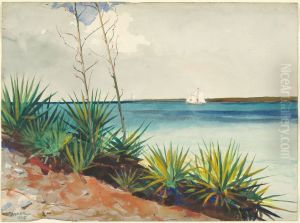 Spanish Bayonets by Winslow Homer