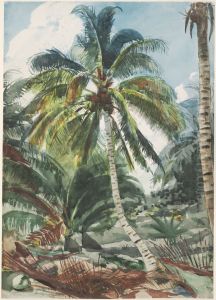 Palm Trees, Bahamas by Winslow Homer