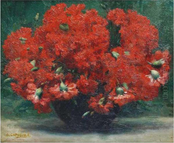 Flores - view 1