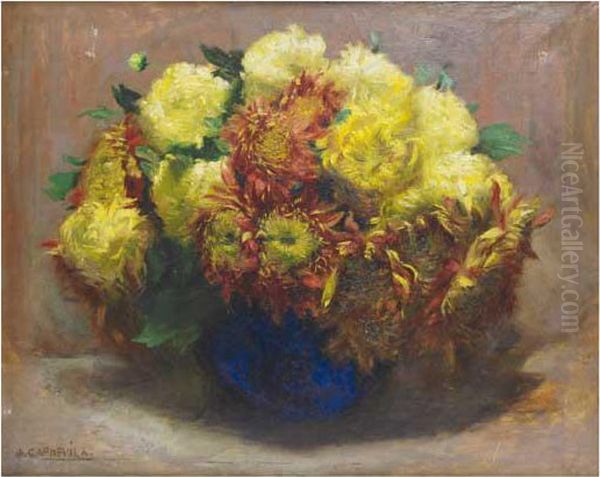Flores - view 1
