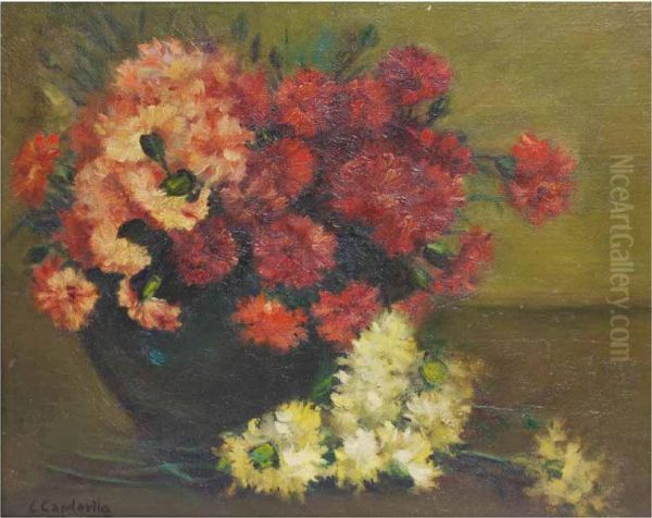 Flores - view 1